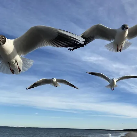 In Ruhiger Lage Und Mit Balkon - Solamar Og 布雷格